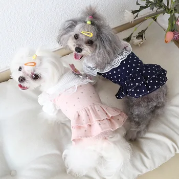 Pes Šaty, sukne zimné Oblečenie pre Malé Psy Šaty Sweety Princezná Jar Šteniatko Malého Psa Čipky Princezná Chihuahua